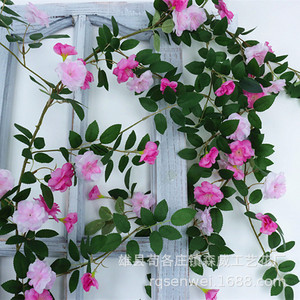 ดอกกุหลาบประดิษฐ์สีชมพูขาว ทำจากพลาสติก สำหรับตกแต่งผนังบ้าน - Product Image 2