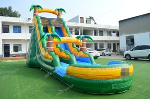 Piscine gonflable d'enfants de glissière d'eau du jardin 20ft avec la glissière à vendre - Product Image 3
