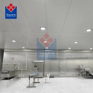 Congélateur spiral, fabricant de congélateurs Iqf, certification CE, congélateur rapide au CO2 et à l'ammoniac pour les fruits de mer surgelés - Product Image 2