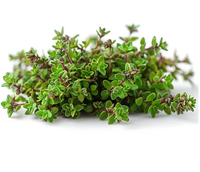 Feuilles de Thym Naturelles de Qualité Supérieure, Herbe Aromatique Séchée pour la Cuisine, Assaisonnement, Infusions Herbales, Mélanges de Thé, Formulations Bien-être