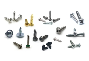 High Quality <strong>Screw</strong> Fasteners China Factory Wholesale Customized Thread Forming <strong>Screw</strong> for Plastic Metal <strong>Wood</strong> - Product Image 6