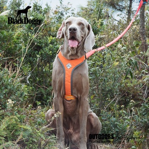 سترة تدريب ومشي للكلاب مبطنة من البوليستر بالجملة، حزام صيد للكلاب مع عاكسات عالية الوضوح - Product Image 1