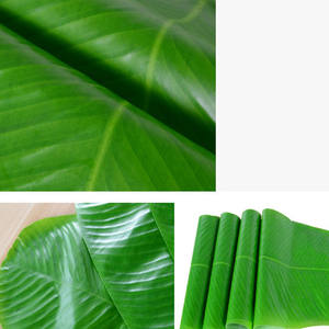 Manteles Individuales de Hojas de Plátano Artificiales Hawaianas, Elegantes, Impermeables, Verdes, para el Día de la Madre, Fiestas, Temática de Playa y Jungla, Tacto <span class=keywords><strong>Real</strong></span> - Product Image 3