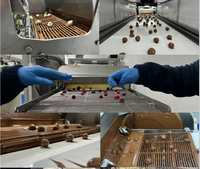 Nouvelle machine à enrober les fruits, les noix et les légumes au chocolat, alimentée par prise électrique