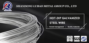 Venda Quente Fio de Aço Galvanizado a Quente Q195 Q235 0.8mm 1.2mm 2.6mm 12 16 18 Gauge - Product Image 5
