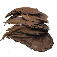 Feuilles d'olivier pour Betta, plantes aquatiques, matériau non comestible, pour petits poissons tropicaux, Arowana, tortues, crevettes, aquarium, réduction du pH