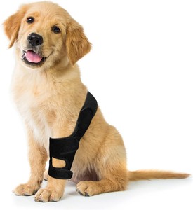 Attelle de genou pour chien Support en métal pour jambe arrière-Genouillère pour garder l'articulation du genou au chaud - Product Image 1