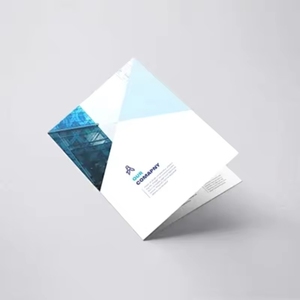 Folletos Plegables A4 Impresos a Todo Color en Papel Offset, Volantes Plegados en Origami Personalizados, Folletos Plegados por la Mitad, <span class=keywords><strong>Navidad</strong></span> - Product Image 1