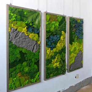 Pannello Murale di Muschio Stabilizzato con Cornice in Legno, Dimensioni Personalizzabili, Eco-Friendly, Alta Qualità, <span class=keywords><strong>Arte</strong></span> Murale Biophilia per Uffici Aziendali - Product Image 1