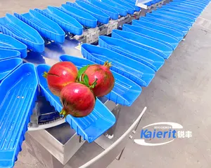 Máquina clasificadora de patatas ampliamente utilizada, máquina clasificadora de selección de clasificación de recolección de arándanos con fruta, nuevo producto personalizado 2020