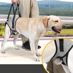 Rarreweペット用品歩行犬ハーネスカスタムロゴ多機能高齢者障害犬手術回復犬ハーネス - Product Image 2
