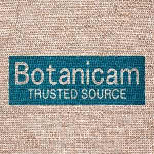 Nhà Máy Bán Buôn Tùy Chỉnh In Nhỏ Đay Cà Phê Dây Kéo Pouch Vải Bố Túi Quà Tặng - Product Image 2