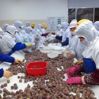 Diepvries IQF gepelde lychee, pitloos, wit vlees, bulk diepvries lychee vruchten, BRC HACCP gecertificeerd, diepvries lychees voor sap en smoothies