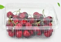 Custom Clear Recyclebare Verse 125G 250G 500G Plantaardige Frambozen Bakje Transparant Plastic Bakje 125G Voor Supermarkt