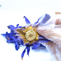 Nouvelles fleurs de lotus bleues séchées de qualité supérieure, naturelles, pour le thé