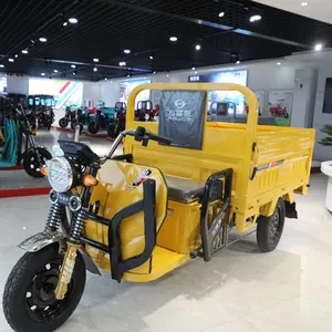 Fabrika fiyat 3 tekerlekli elektrikli kargo üç tekerlekli bisiklet toptan 1.6 M Model scooter kargo Trike