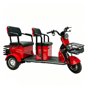 Tricycle électrique de transport pour adultes, tricycle à trois roues à carrosserie ouverte, tricycle électrique 600W avec panier - Product Image 4