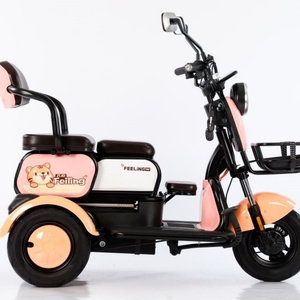 Mini Triciclo Eléctrico de Tres Ruedas para Pasajeros, con Batería Desmontable de 48V y 500W de Potencia para Adultos - Product Image 4