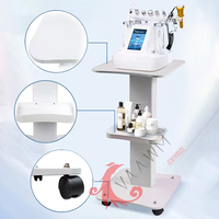 Chariot de Salon Moderne en Acier Inoxydable avec 4 Roues pour Appareils de Beauté, Spa, Salon de Manucure, Salle de Bain