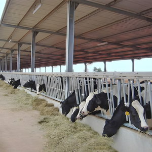 Q355 ASTM Structures en acier préfabriquées Prix concurrentiel Compartiments pour vaches laitières Léger Pliage Coupe soudée Bâtiment de ferme Atelier Entrepôt - Product Image 3