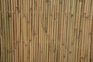 Hàng Rào Tre Vườn Độc Đáo Mở Rộng Cây Nhân Tạo Bán Chạy - Product Image 3