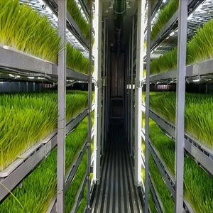 Skyplant Ferme commerciale clé en main en conteneur aéroponique avec couverture en polypropylène, unité de culture intelligente et automatisée de légumes et de fourrage - Product Image 3