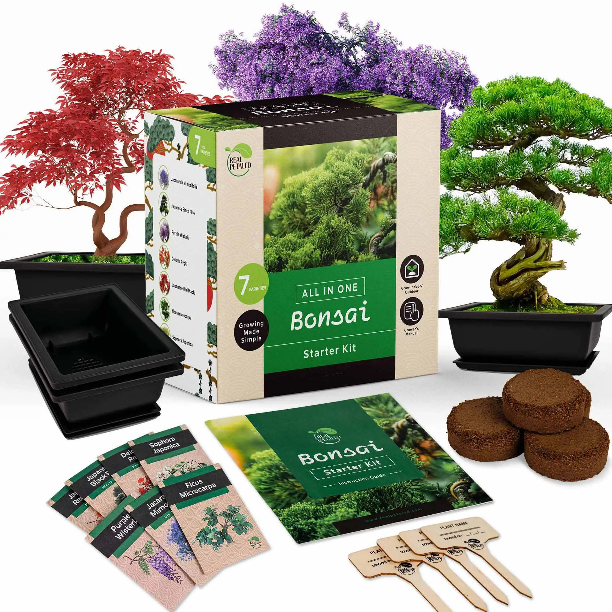 Uniek 100% Usda Bonsai Cadeau Groeit Je Eigen Bonsai Boom Gemakkelijk Persoonlijke Plant Starter Kit Tuin Kit Diy Bonsai Draad