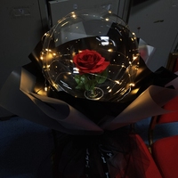 Bouquet de Roses Lumineuses Saint-Valentin, Ballon Bobo LED Lumineux pour Cadeau, Ballon Bulle LED Brillant dans le Noir
