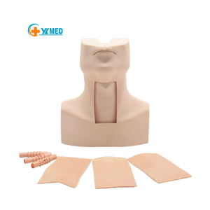 Maniquí de Entrenamiento en Ciencias Médicas, Modelo Avanzado de Entrenamiento en Cirugía de Traqueotomía, Simulador de Tirocricocentesis - Product Image 1