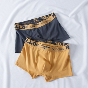 Bán buôn Polyester boxer quần lót thoải mái mềm kháng khuẩn giữa eo đồ lót của nam giới Boxer Briefs - Product Image 6
