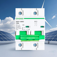 Disjoncteur miniature CHOSO DZ47-125 DC 2P 80A/100A/125A 500V 10kA pour rail DIN, usage domestique, solaire photovoltaïque et stockage d'énergie, protection contre les surcharges