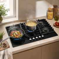 Nouvelle arrivée : cuisinière à gaz naturel intégrée à 5 brûleurs avec dessus en verre, allumage électronique, haute efficacité, cuisinière de cuisine