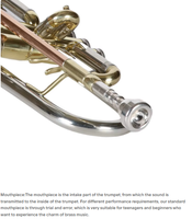 Hot Sale Cost-effective Bb Trumpet Premium Brass Professional Grade Bright Tone Fine Craft Wholesale Customizable