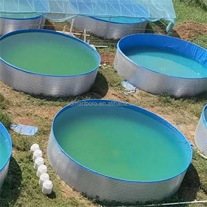 Tanque de Cría de Peces, <span class=keywords><strong>Piscina</strong></span> de Acuicultura de PVC+Acero Galvanizado para Cría de Peces y Ranas, Diámetro de 2m-30m, Certificado ISO9001 - Product Image 5