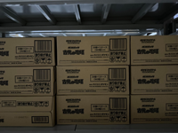 Paquete de Cartas Coleccionables Pokémon Originales Japonesas TGC PTCG SV4K Ancient Roar Scarlet Violet Series para Batalla