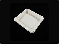 Plateau carré jetable pour gâteau d'anniversaire et dim sum, emballage à emporter biodégradable en bagasse de canne à sucre, assiettes à dessert, barbecue et collations