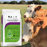 Suppléments de qualité alimentaire Produits d'engraissement et de gain de poids du bétail Vache Mouton Bovins Chèvre Stimulateur de croissance Protéines animales