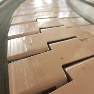 Weldon Food Grade Transportband Voor Verwerkte Slagerindustrie Modulaire Plastic Riem - Product Image 4