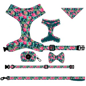 Ensemble de harnais en velours pour chien, laisse pour chien, collier pour chien, sac à caca, offre spéciale sur INS Pet Store, offre spéciale, propriétaire - Product Image 5