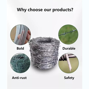 Clôture en fil de fer barbelé galvanisé pour ferme jardin Sécurité Fil de fer et d'acier Finition électro-galvanisé Fil de fer barbelé - Product Image 6