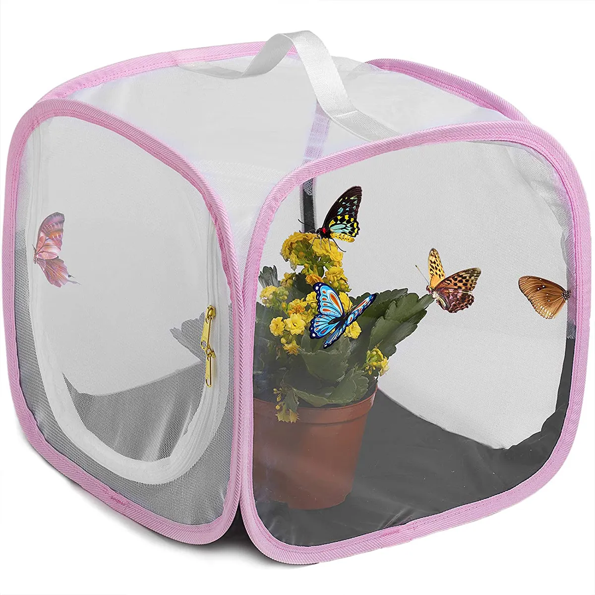 Pop Up Butterfly Insect Net Rearing Cage,Mesh Insect Cage 12 X 12 X 12 Inches Insect and Butterfly Habitat Cage Terrarium
