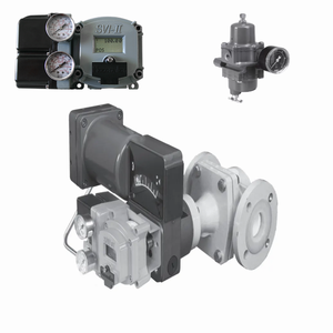 Masoneilan Globe 31000 Series Eccentric Rotary avec filtre SVI2 en fonte avec revêtement PFA pour l'industrie du gaz et du pétrole - Product Image 5