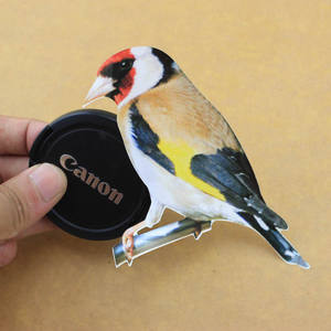 Autocollant slim en vinyle brillant découpé, étiquette personnalisée, avec impression de logo, imperméable, nouvelle collection 2020 - Product Image 5