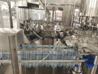 Ligne de production entièrement automatique d'eau de noix de coco pour bouteilles Pet brutes Machine d'emballage d'eau minérale à faible coût