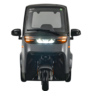 Tricycle électrique Yunlong EEC L2e E-Cabin-H1 avec moteur 1,5 kW, batterie au plomb-acide 60 V 58 Ah, 2 places, porte arrière ouvrable, autonomie maximale de <span class=keywords><strong>80</strong></span> km - Product Image 2