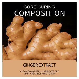 Champú de Jengibre SADOER, Elimina <span class=keywords><strong>la</strong></span> Caspa, Previene <span class=keywords><strong>la</strong></span> Caída <span class=keywords><strong>del</strong></span> Cabello, Control de Grasa Herbal, <span class=keywords><strong>el</strong></span> <span class=keywords><strong>Mejor</strong></span> Champú <span class=keywords><strong>para</strong></span> Cabello Graso - Product Image 4