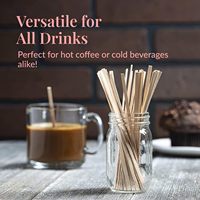 Bâtonnets à café en bois de bouleau naturel en vrac, écologiques, jetables, pour boissons, finition lisse, sans produits chimiques, outils de restauration