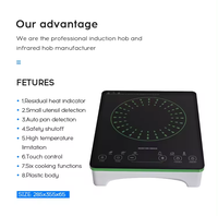 Produits de vente chauds Cuisinière à induction de camping multifonction adaptable électronique 2000W
