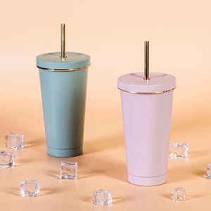 Top Seller 500ml 750ml Skinny Double Wall Water <b>Thermo</b> Mug Drinkware Vacuum Insulated Stainless Steel Tumbler With Straw Lid - Product Image 1