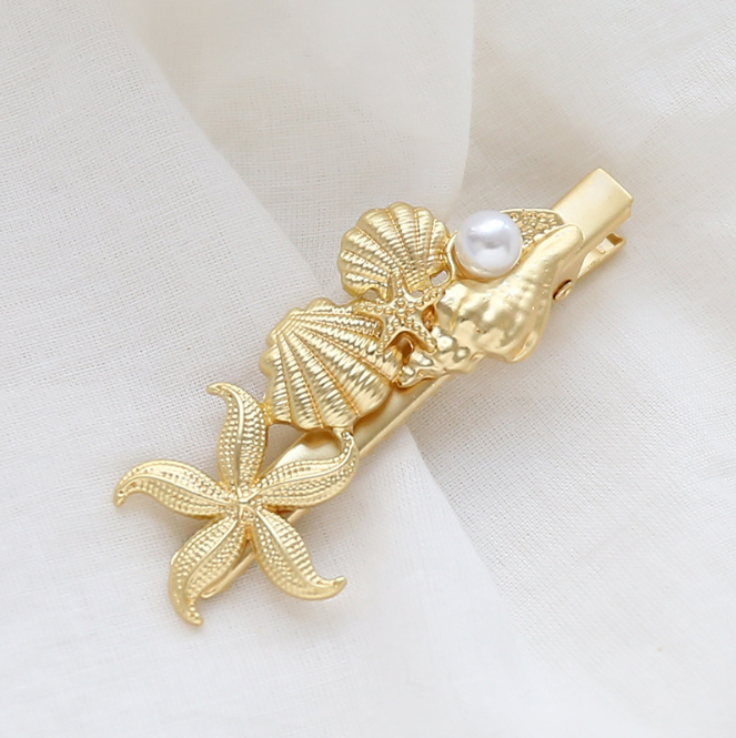 Conque étoile de mer coquille